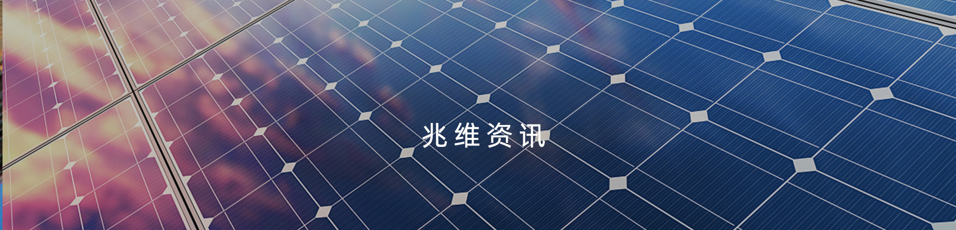 信息公开横幅图片
